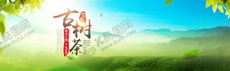 编号：79618206250154379113【酷图网】源文件下载-古树茶