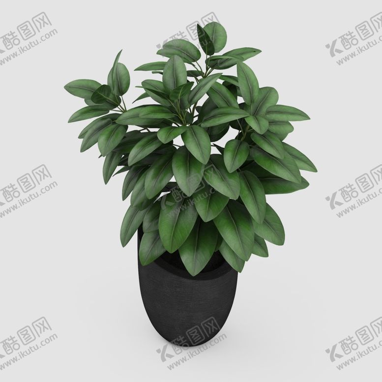 编号：46906310142201099294【酷图网】源文件下载-植物盆景