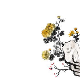 国画菊花