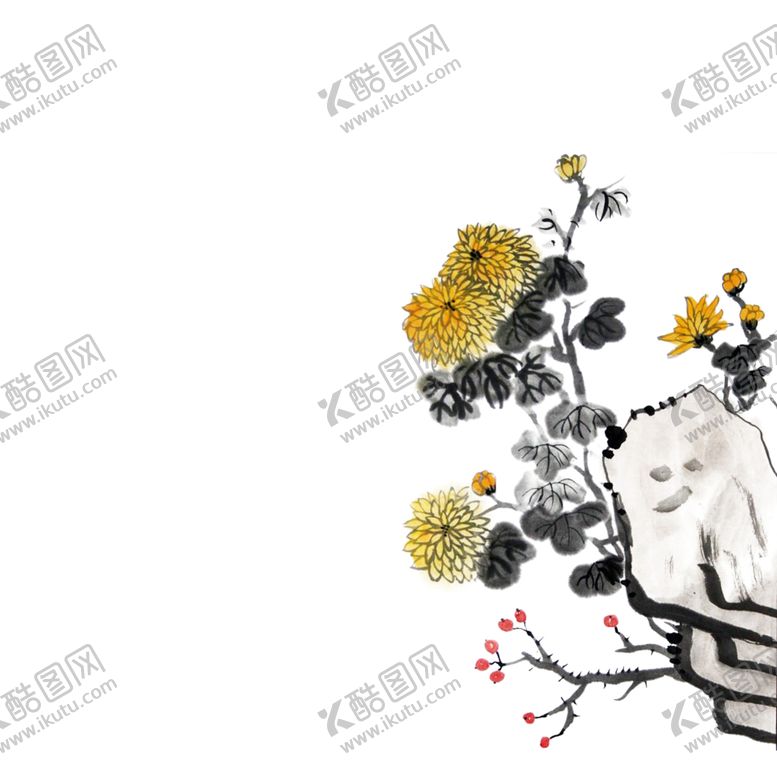 编号：39300806161004476884【酷图网】源文件下载-国画菊花