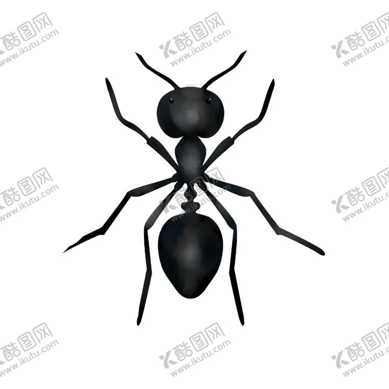 编号：26128006290623245168【酷图网】源文件下载-手绘蚂蚁素材