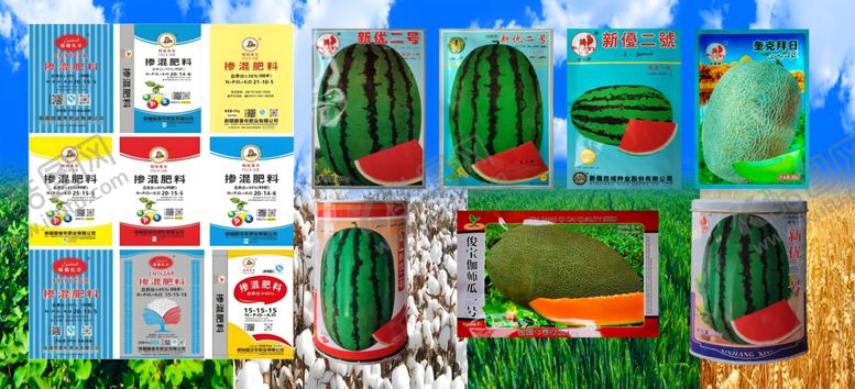 编号：22968312191629261251【酷图网】源文件下载-西瓜种子