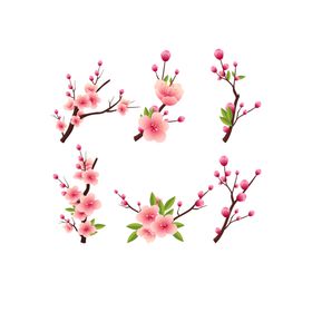 手绘植物花卉