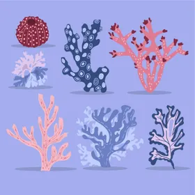 珊瑚五彩缤纷海底生物卡通