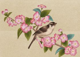 手绘古风花卉