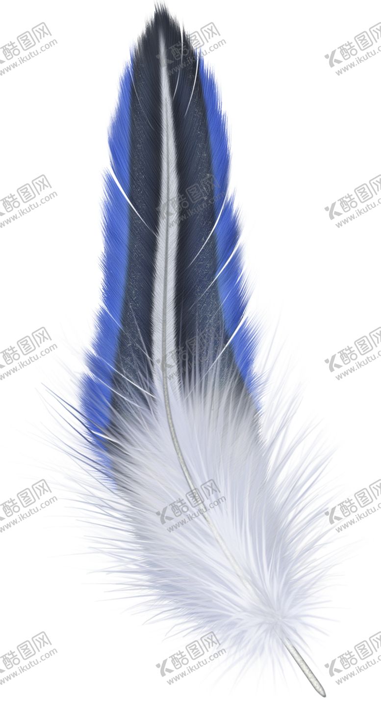 编号：28796405152222135080【酷图网】源文件下载-羽毛