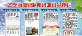 脑血管