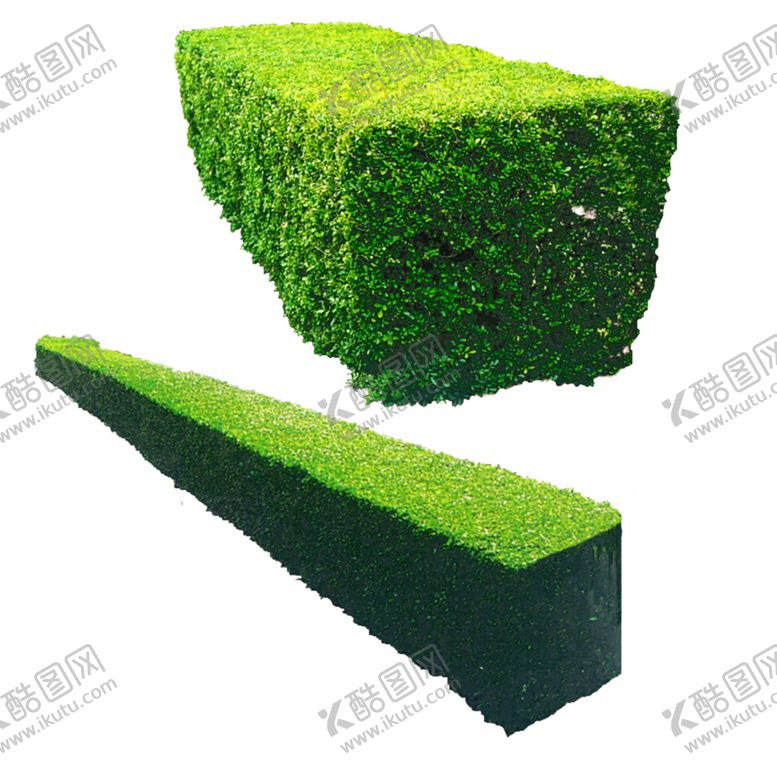 编号：52956310070759359223【酷图网】源文件下载-绿色植物