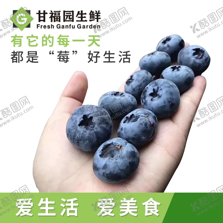 编号：05638910080239364301【酷图网】源文件下载-蓝莓