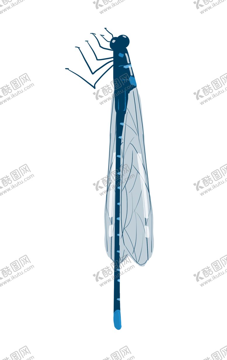编号：30586710241808145763【酷图网】源文件下载-蜻蜓