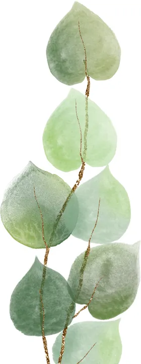 北欧小清新水彩植物图案