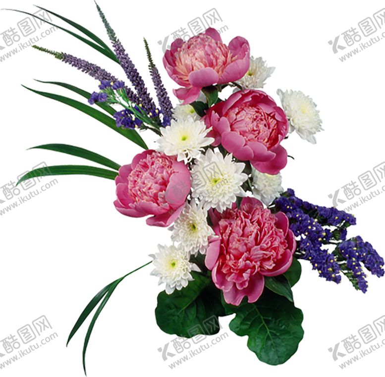 编号：42743306241806229062【酷图网】源文件下载-鲜花素材