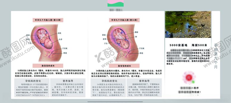 编号：82543206261325526607【酷图网】源文件下载-孕妈妈及胎宝宝变化第九个月