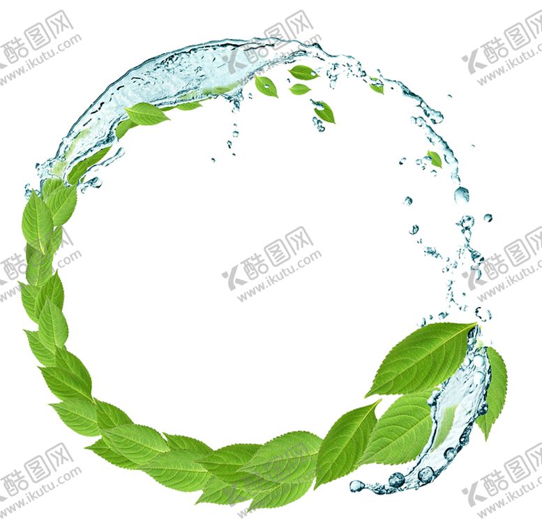 编号：12877507030741262827【酷图网】源文件下载-树叶