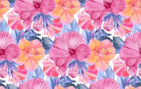 花卉