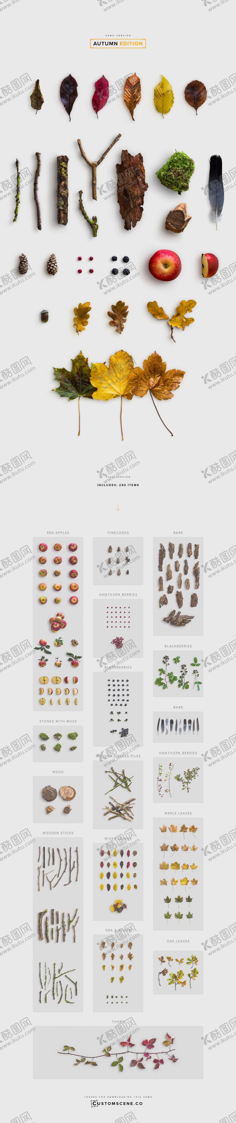 编号：30500710250135074213【酷图网】源文件下载-秋天元素精细分层