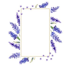 薰衣草边框