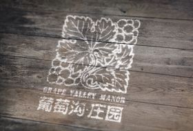 标志样机效果图