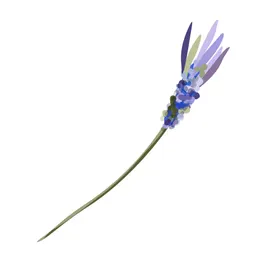 森系花枝
