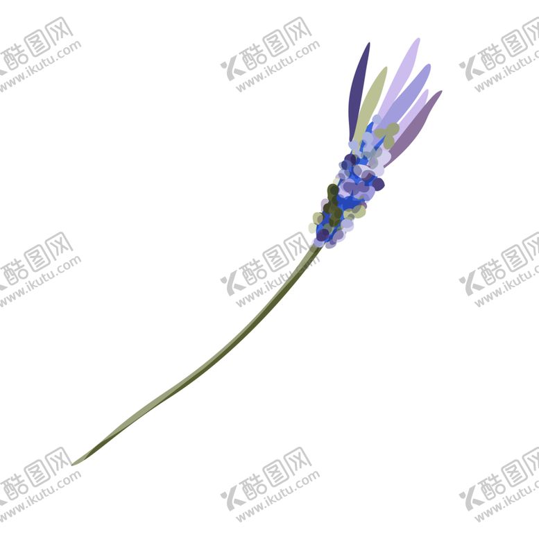 编号：95011510030015431765【酷图网】源文件下载-森系花枝