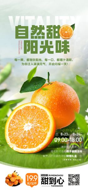橘子橙子吊旗