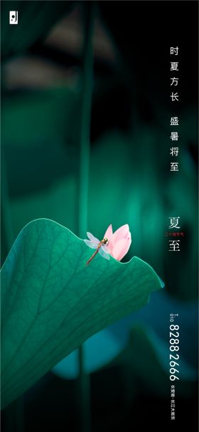 夏至