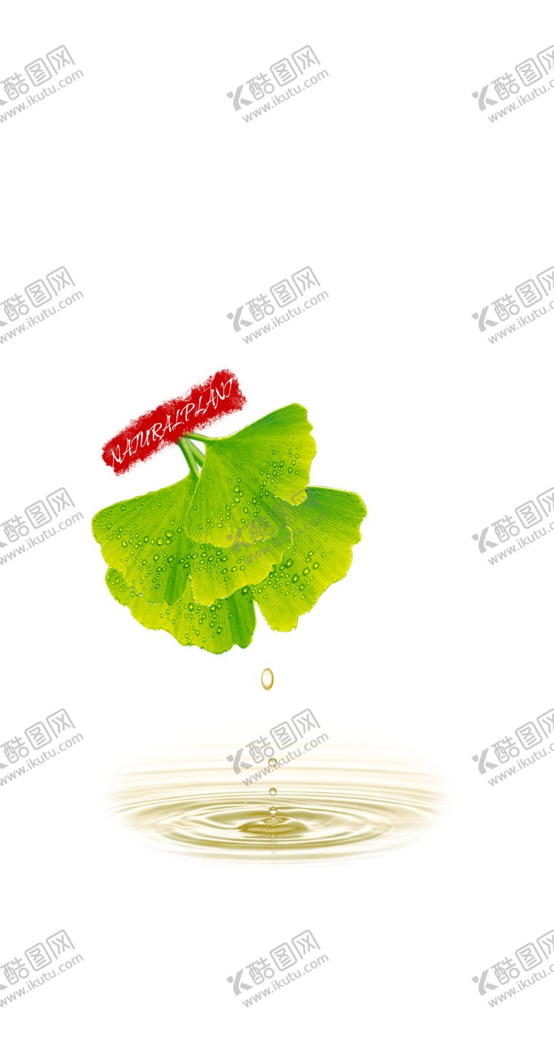 编号：67543707070621101438【酷图网】源文件下载-绿色背景