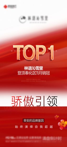 TOP1海报