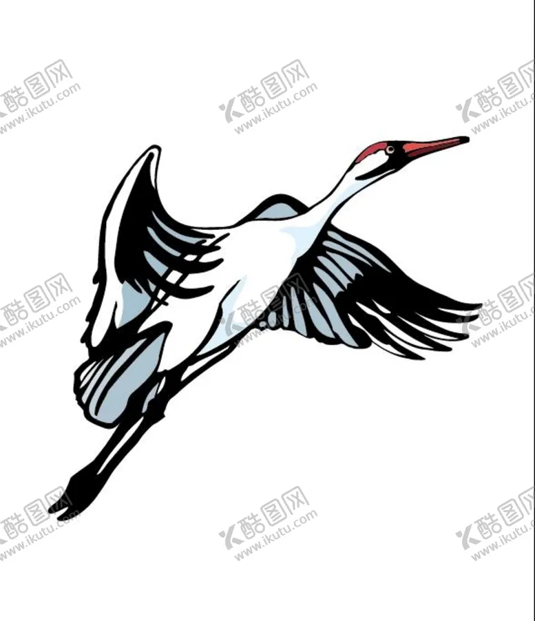 编号：98028401260911144401【酷图网】源文件下载-鸟类