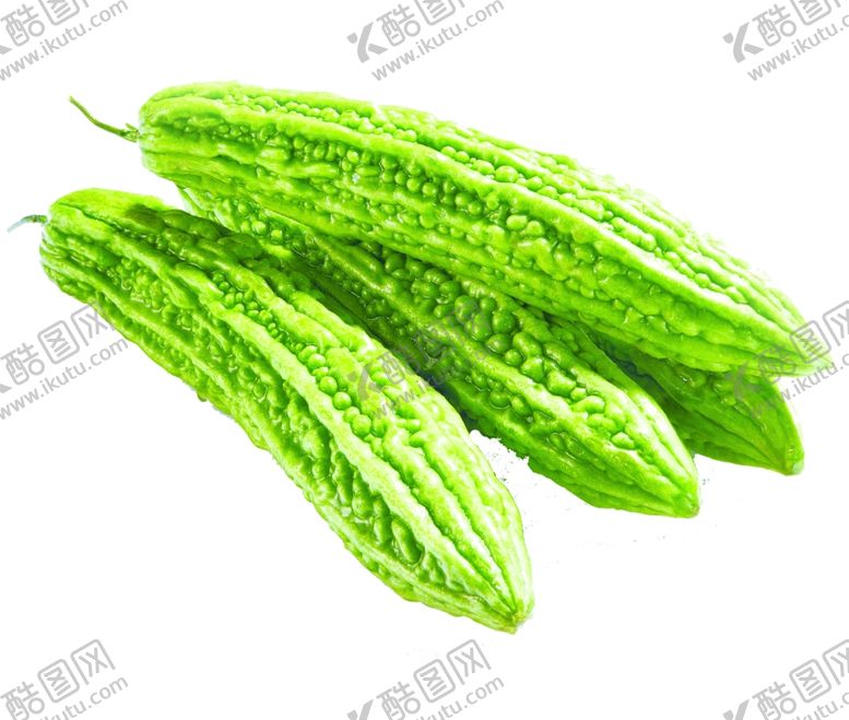 编号：36629102100230105645【酷图网】源文件下载-苦瓜