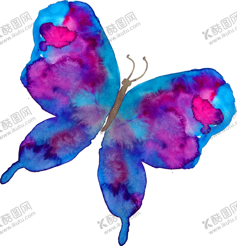编号：51463302012039554249【酷图网】源文件下载-蝴蝶