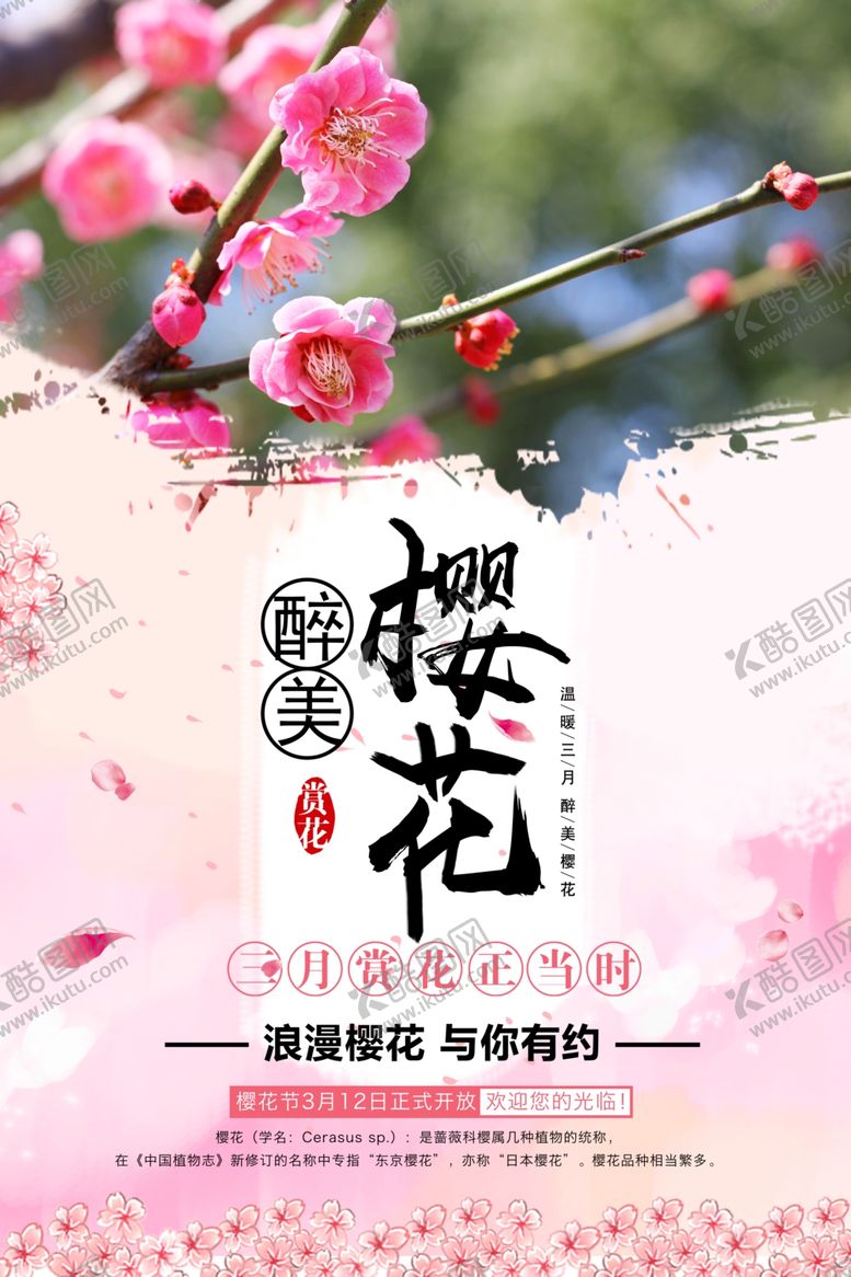 编号：74673504141207271503【酷图网】源文件下载-简约唯美醉美樱花节赏花旅游海报