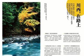 画册设计