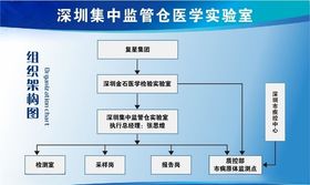 组织