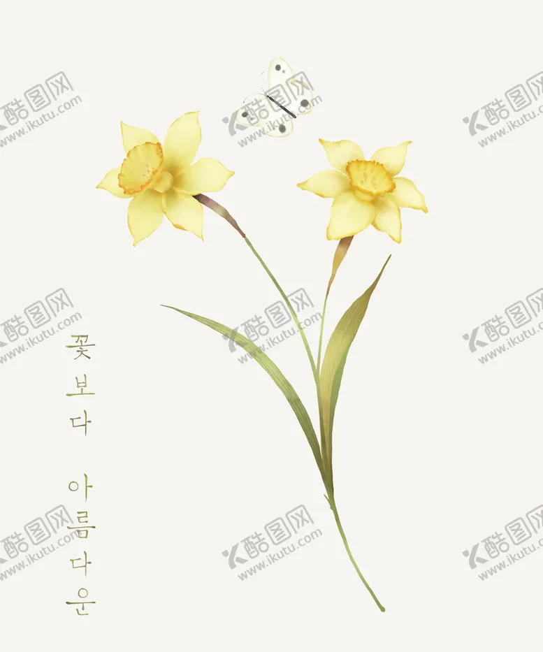编号：40073211220812456382【酷图网】源文件下载-花朵手绘水仙花水粉水彩