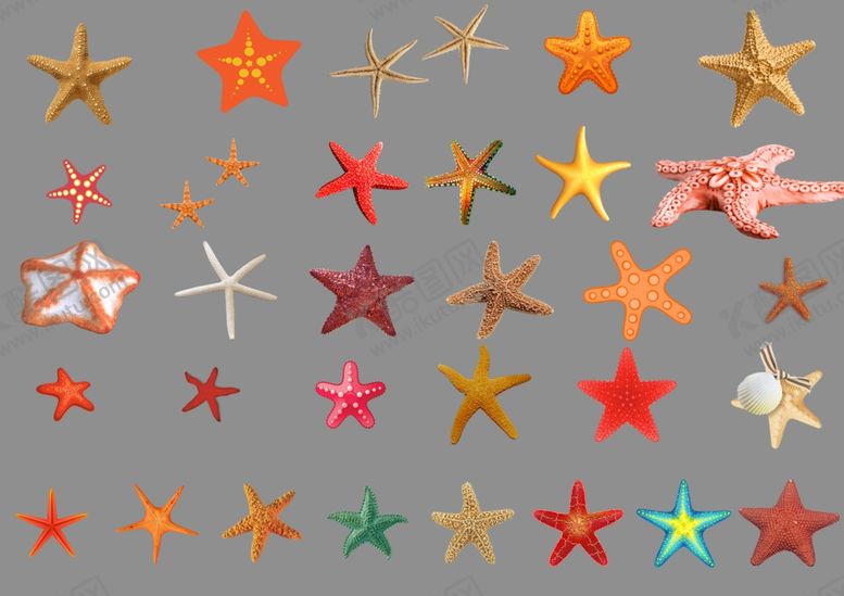 编号：87904709250930043882【酷图网】源文件下载-海星