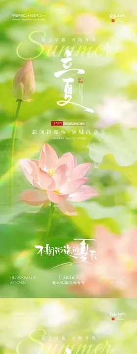 立夏节气荷花荷叶清新摄影海报