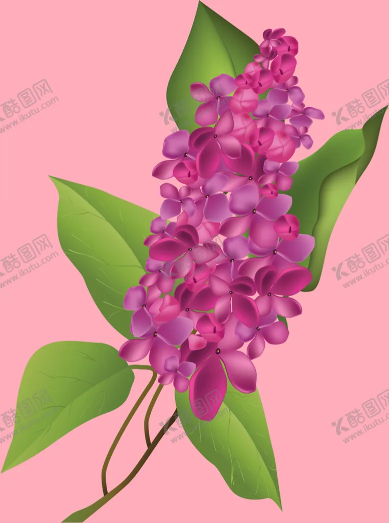 编号：13808910161444084466【酷图网】源文件下载-丁香花