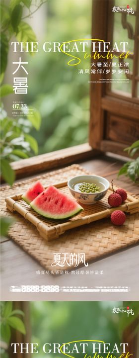 简约清新大暑节气传统节日宣传