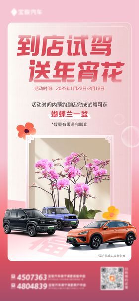 试驾送花海报