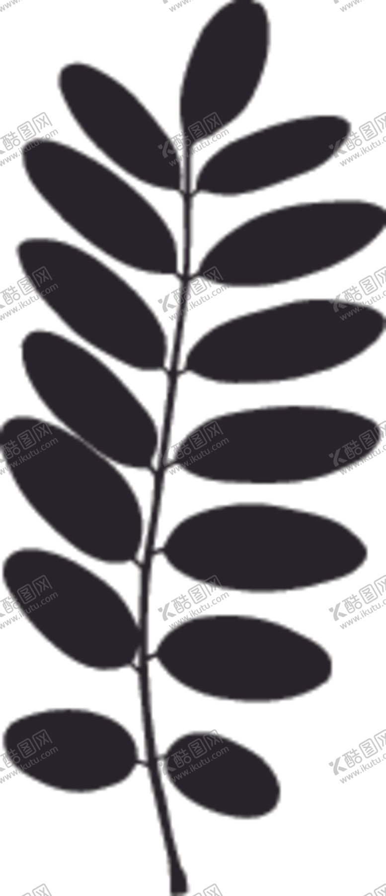 编号：63255809210403455615【酷图网】源文件下载-植物系列树叶