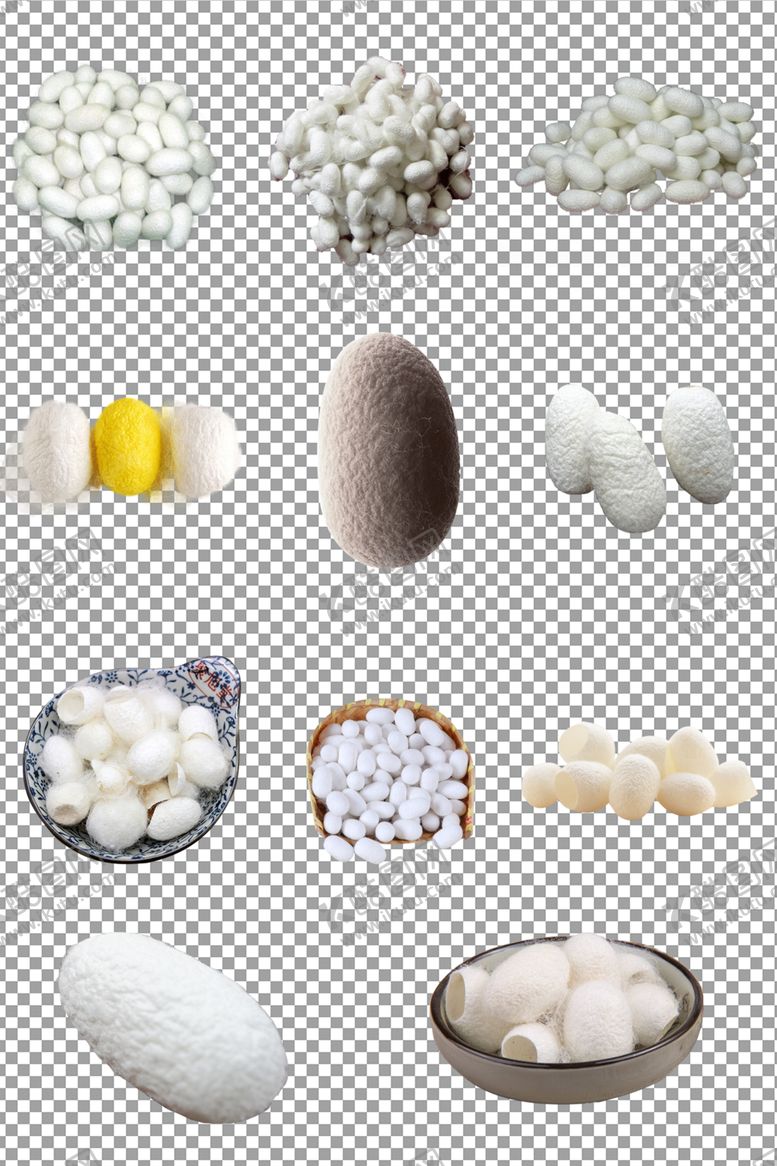 编号：18491609251559255353【酷图网】源文件下载-蚕茧