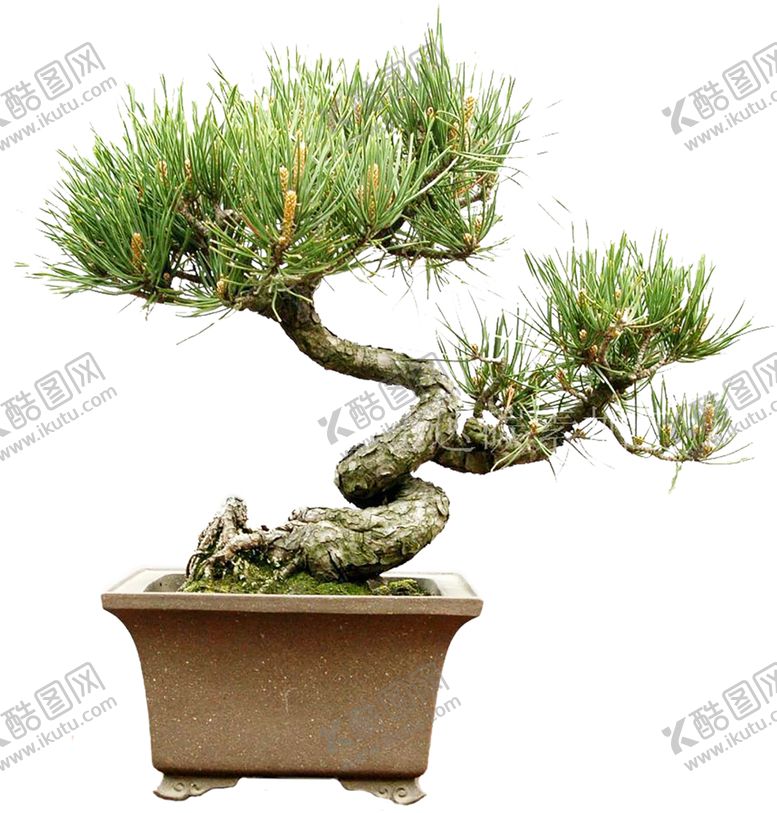 编号：55481907130610378347【酷图网】源文件下载-绿色植物