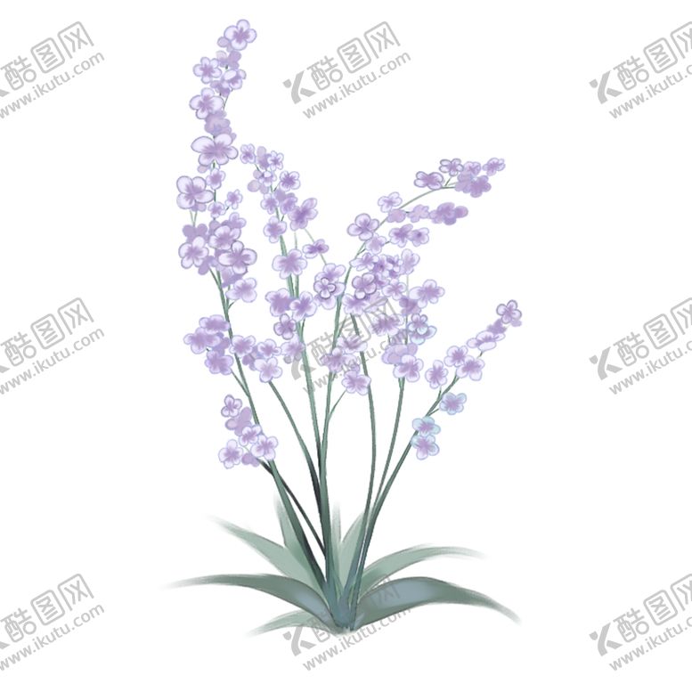 编号：94147907092328178637【酷图网】源文件下载-手绘植物花卉