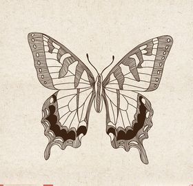 矢量动物矢量植物插画手绘