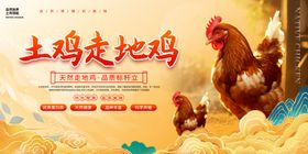 土鸡走地鸡