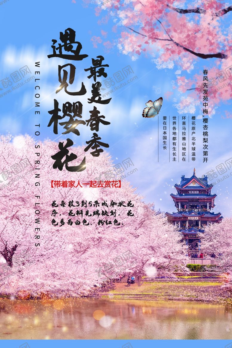 编号：12158710281448242774【酷图网】源文件下载-春暖花开樱花海报桃花海报