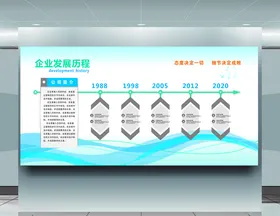 企业发展历程