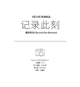 文字排版