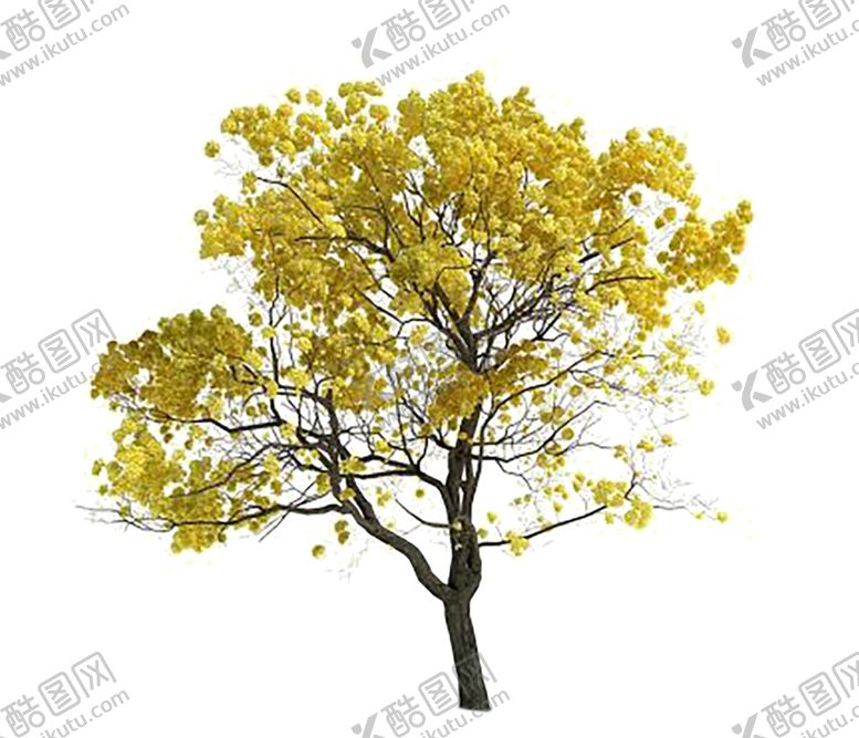 编号：72998710201012354961【酷图网】源文件下载-花艺